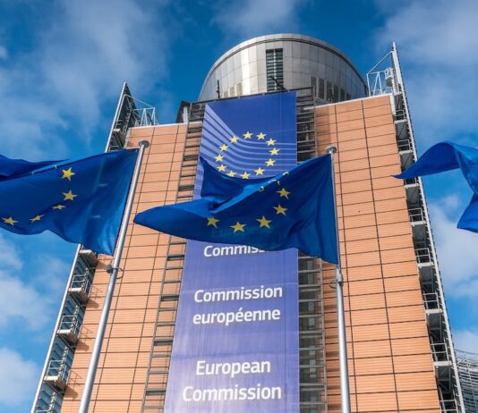 Eurobonos rentables, prácticos, a ras de suelo | Economía