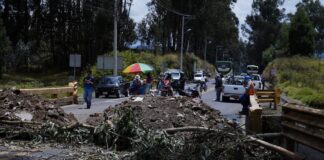 Bases del movimiento indígena de Imbabura dicen que el paro contra el Gobierno no se ha levantado en esta provincia | Política | Noticias