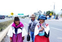 “La mayoría pensamos que ya se acabó el paro y podíamos trabajar, pero en Otavalo estamos como secuestrados”: es la queja de los transeúntes en las vías de Imbabura | Política | Noticias
