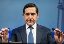 Fulgor y desastre del opante | Economía