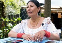 Pacha Terán sobre cese del paro: ‘Si tengo que hablar con Daniel Noboa, está en la obligación de escucharme, debe escuchar a sus mandantes’ | Política | Noticias