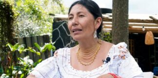 Pacha Terán sobre cese del paro: ‘Si tengo que hablar con Daniel Noboa, está en la obligación de escucharme, debe escuchar a sus mandantes’ | Política | Noticias