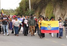 Movimiento indígena de Imbabura rechaza sesión de la Asamblea Nacional: ‘No tienen calidad moral para venir’ | Política | Noticias