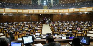 Corte Constitucional aprueba convocatoria a referéndum para reducir número de asambleístas | Política | Noticias