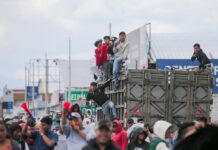 Preocupación de organizaciones internacionales por excesivo uso de la fuerza de la Policía Nacional durante el paro nacional en Ecuador | Política | Noticias