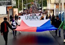 Con una marcha en Cotacachi y despliegue de la fuerza pública en Quito se desarrolla el decimonoveno día del paro nacional | Política | Noticias