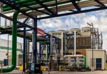 Russula, un campeón regional de la ingeniería que sueña a lo grande | Negocios