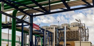 Russula, un campeón regional de la ingeniería que sueña a lo grande | Negocios