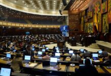 Referéndum para reducir el número de asambleístas es una demanda ciudadana para optimizar y hacer eficiente a la Asamblea, señala el Gobierno de Daniel Noboa | Política | Noticias