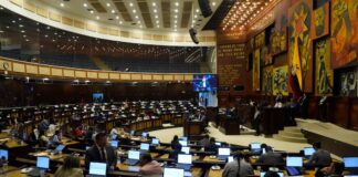 Referéndum para reducir el número de asambleístas es una demanda ciudadana para optimizar y hacer eficiente a la Asamblea, señala el Gobierno de Daniel Noboa | Política | Noticias