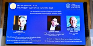 ¿Cómo crecen las economías? | Economía