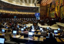 Daniel Noboa agrega otra pregunta al referéndum del 16 de noviembre: la reducción del número de asambleístas | Política | Noticias