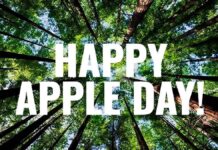 APPLE TREE alcanza los 5.000 árboles pintados