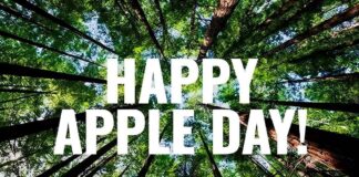 APPLE TREE alcanza los 5.000 árboles pintados