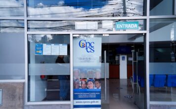 Ausencia de la sociedad civil en Consejos Nacionales de la Igualdad: cinco años sin que el Consejo de Participación Ciudadana los elija | Política | Noticias