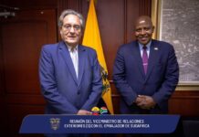 Ecuador y Sudáfrica fortalecen sus relaciones bilaterales con miras a una cooperación sur-sur | Política | Noticias