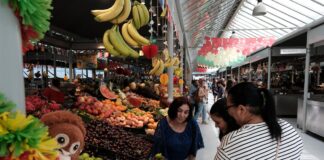 Portugal prevé bajar su deuda pública en 2026 al 87,8% del PIB, la tasa más baja en 17 años | Economía