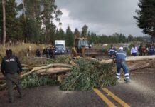 El paro del 2025 en cifras: detenidos, muertos, heridos, acciones de protestas y pérdidas económicas en un mes de zozobra | Política | Noticias