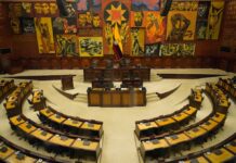 Presidente Noboa habla de cambiar el nombre de Asamblea Nacional a Senado: exlegisladores afirman que eso no cambia la calidad del trabajo legislativo | Política | Noticias