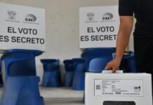 188 observadores nacionales fueron acreditados para el referéndum y consulta popular del 16 de noviembre | Política | Noticias