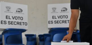188 observadores nacionales fueron acreditados para el referéndum y consulta popular del 16 de noviembre | Política | Noticias