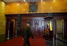 Sexto proyecto urgente del Ejecutivo despierta cuestionamientos sobre uso de fondos del IVA destinados a seguridad | Política | Noticias