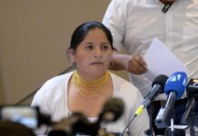 Ercilia Castañeda, vicepresidenta de la Conaie: ‘Cada territorio toma sus medidas acorde a su realidad, a nosotros nos corresponde respaldar’ | Política | Noticias