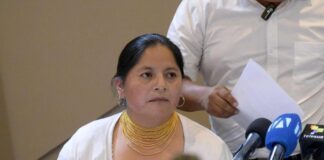 Ercilia Castañeda, vicepresidenta de la Conaie: ‘Cada territorio toma sus medidas acorde a su realidad, a nosotros nos corresponde respaldar’ | Política | Noticias