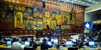 Primer debate del proyecto urgente para el fortalecimiento de FF. AA. y Policía Nacional será este 14 de octubre en el Legislativo | Política | Noticias