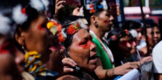 Alicia Salazar, de Alianza Ceibo: Nosotros llegamos con lo poquito que tenemos a las comunidades, que es lo que le tocaría cumplir al gobierno, y nos bloquean la cuenta bancaria | Política | Noticias