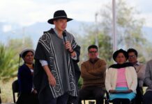 ‘Algunos trataron de parar a los ecuatorianos, no pudieron’: Daniel Noboa dice que hay un crecimiento del 10% en ventas y del 16,6% en exportaciones | Política | Noticias