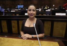Piden suspender por ocho días a asambleísta Jadira Bayas por fijar su fotografía en una sesión virtual | Política | Noticias