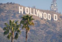 ¿Los Ángeles sin palmeras? El debate estético, climático y económico agita a California | Carta del corresponsal