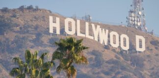 ¿Los Ángeles sin palmeras? El debate estético, climático y económico agita a California | Carta del corresponsal