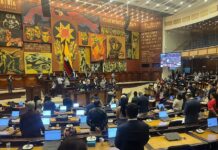 Asamblea Nacional deja atrás el paro y se concentra en la campaña por el referéndum y la consulta popular | Política | Noticias