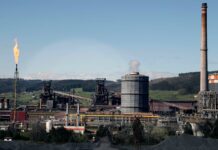 Electrificación, descarbonización y competitividad de la industria | Negocios