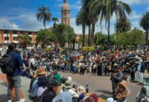 ¿Qué se sabe del convoy humanitario que la Conaie trasladará a Imbabura? | Política | Noticias