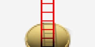 Lecciones del ‘cripto flash crash’ | Negocios