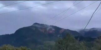 Daniel Noboa muestra ataques contra minería ilegal en Imbabura: ‘No vamos a parar ante presiones o amenazas’ | Ecuador | Noticias