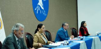 Elección de vocales del Consejo Nacional Electoral podría reactivarse: estudiante universitario desistió de una acción de protección | Política | Noticias