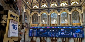 El inversor vive un momento de euforia | Negocios