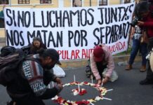 Entrega de incentivos e insumos para compensar alza del diésel se ha concentrado en provincias con más protestas sociales | Política | Noticias