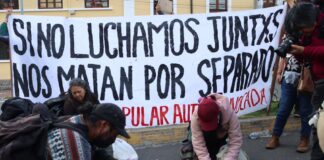 Entrega de incentivos e insumos para compensar alza del diésel se ha concentrado en provincias con más protestas sociales | Política | Noticias