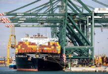 Las exportaciones españolas a EE UU se desplomaron más de un 30% en agosto, tras entrar en vigor los nuevos aranceles | Economía