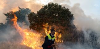 El Gobierno aprueba adelantar la jubilación de los agentes forestales hasta seis años | Economía