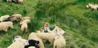 premios en 5 categorías nuevas