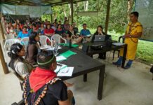 Cuentas bancarias de Alianza Ceibo, congeladas durante el paro, fueron desbloqueadas tras orden judicial | Política | Noticias