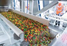 ¿Sabías que la idea de los chocolates M&Ms surgió en España? Ahora Mars, su dueño, apuesta por Europa | Negocios