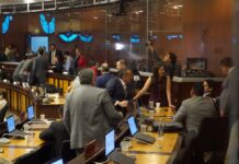 Asambleístas de ADN defienden proforma presupuestaria 2026, correístas e independientes observan inconsistencias | Política | Noticias