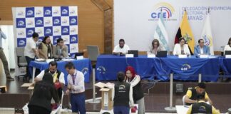 Análisis: No, el voto que no se atrevió a decir su nombre: este fue el papel de la inteligencia artificial en el referéndum y consulta popular